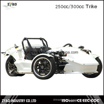 CEE 250cc / 300cc Zongshen Tricycle Trke Tricycle Ztr Trike